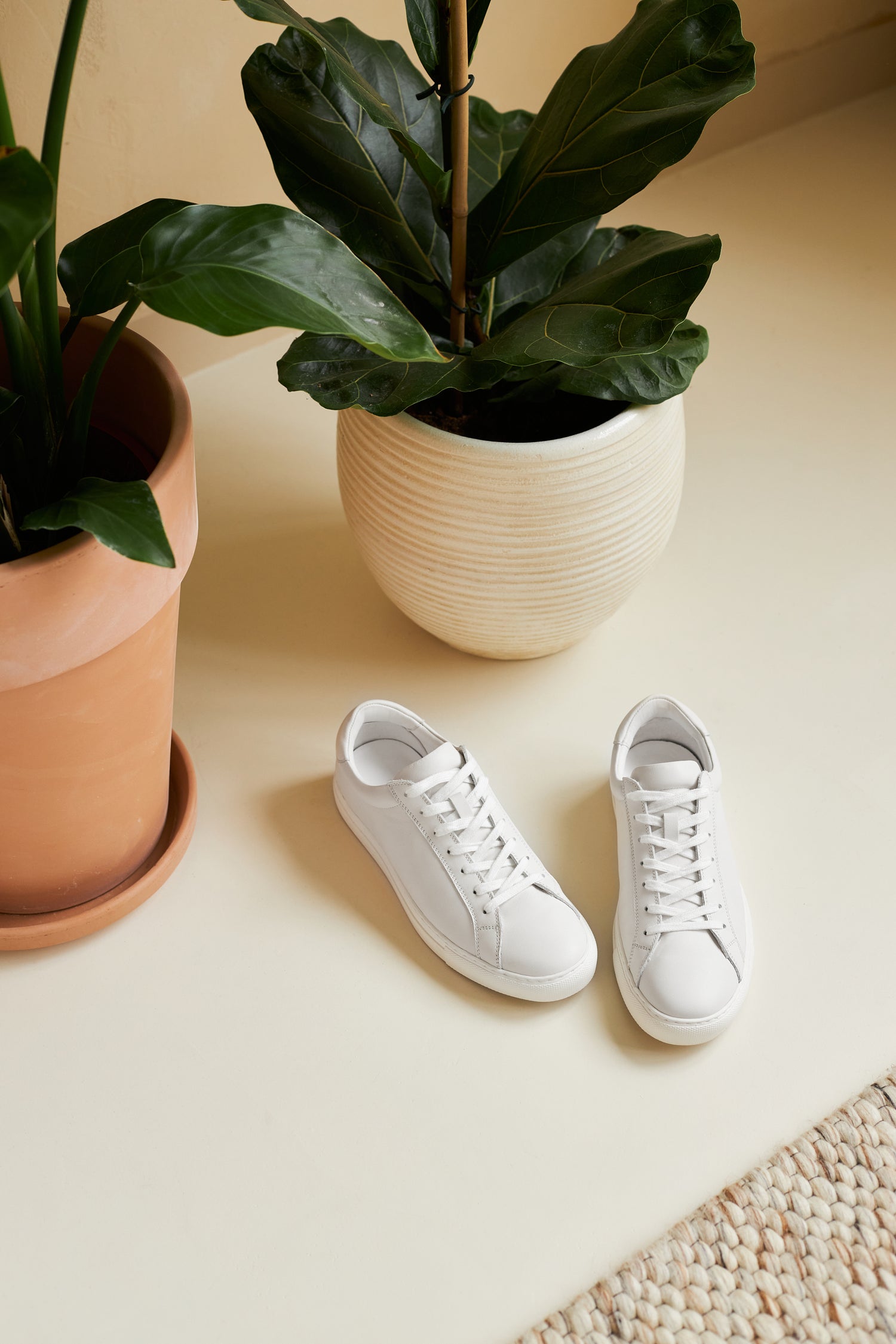 White Neat sneakers next to a potted plant