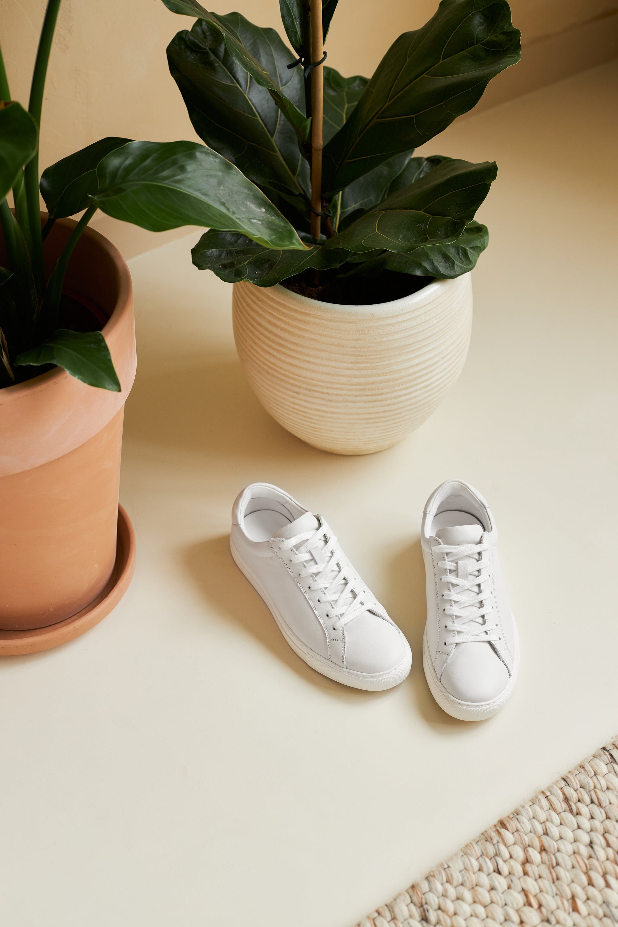 White Neat sneakers next to a potted plant